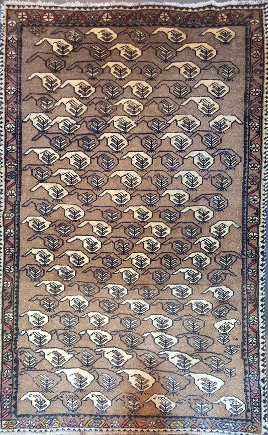 persian-shiraz-full