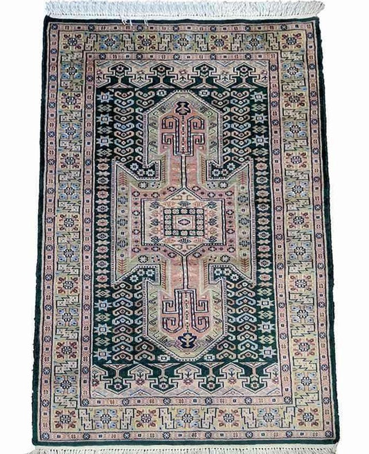 159 x 100 cm Fine Pakistan Green Rug - Rugoutlet