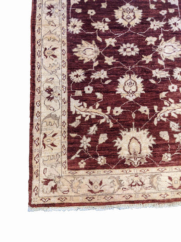 149 x 97 cm Ziegler Terracotta Rug - Rugoutlet