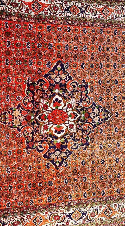 165 x 153 cm persian bijar Traditional Orange Rug - Rugoutlet