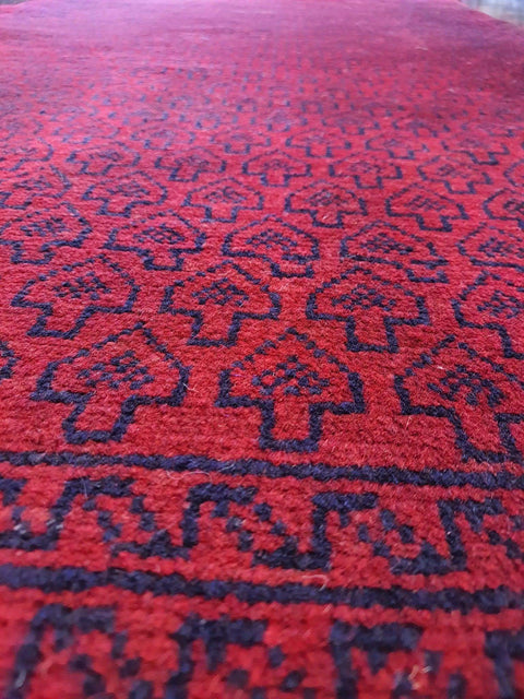 baluch-shocking-pink-border1
