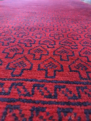 baluch-shocking-pink-border1