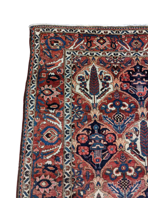 215 x 160 cm Bakhtiar Traditional Orange Rug - Rugmaster