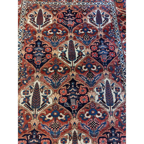 215 x 160 cm Bakhtiar Traditional Orange Rug - Rugmaster