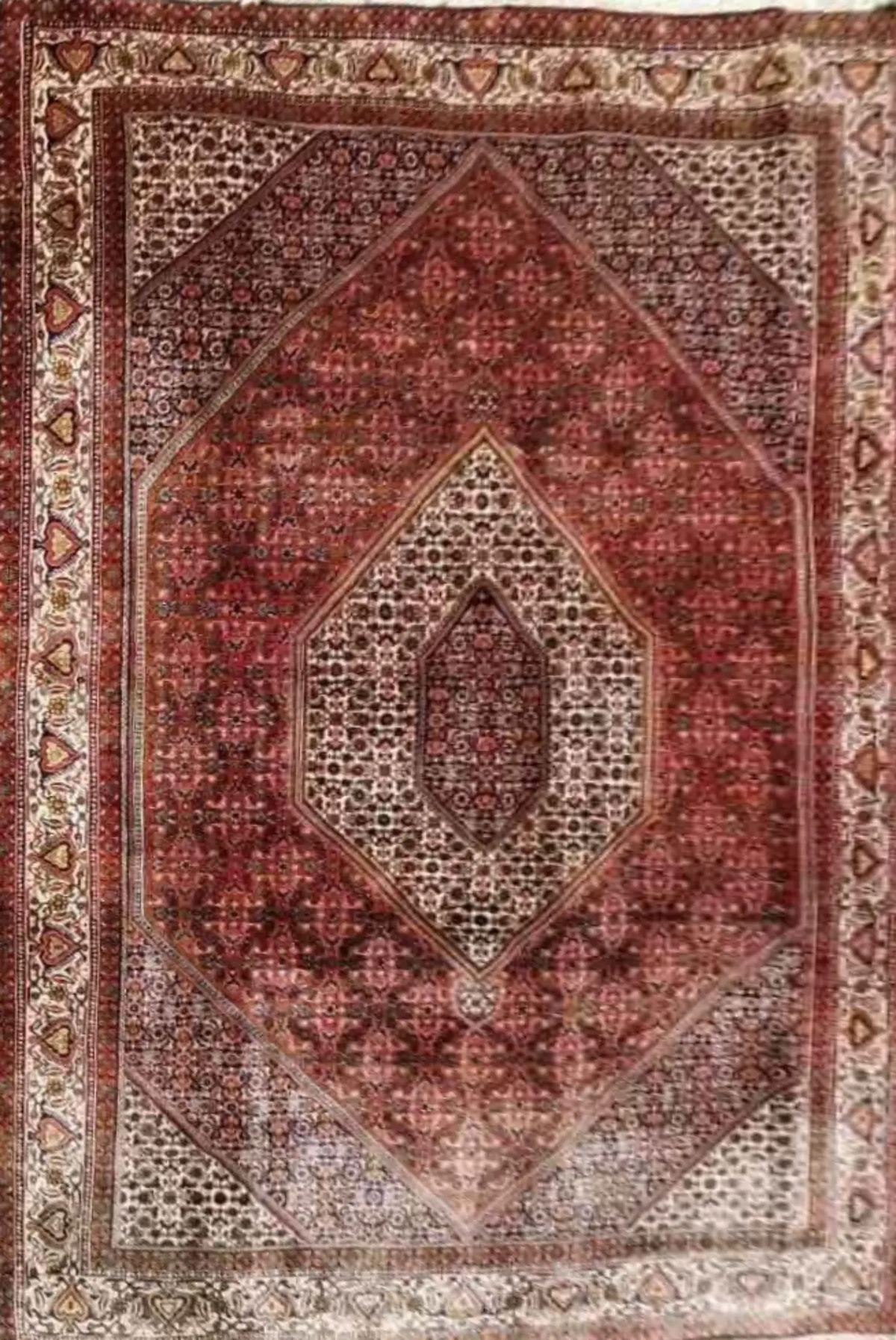 Persian Bidjar Traditional Red Large Rug 310 x 205 cm (10.17 x 6.73 ft)