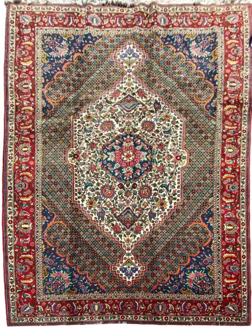 310 x 210 cm Persian Bakhtiar Traditional Brown Large Rug - Rugoutlet