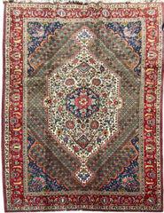 310 x 210 cm Persian Bakhtiar Traditional Brown Large Rug - Rugoutlet