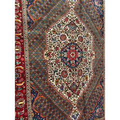 310 x 210 cm Persian Bakhtiar Traditional Brown Large Rug - Rugoutlet