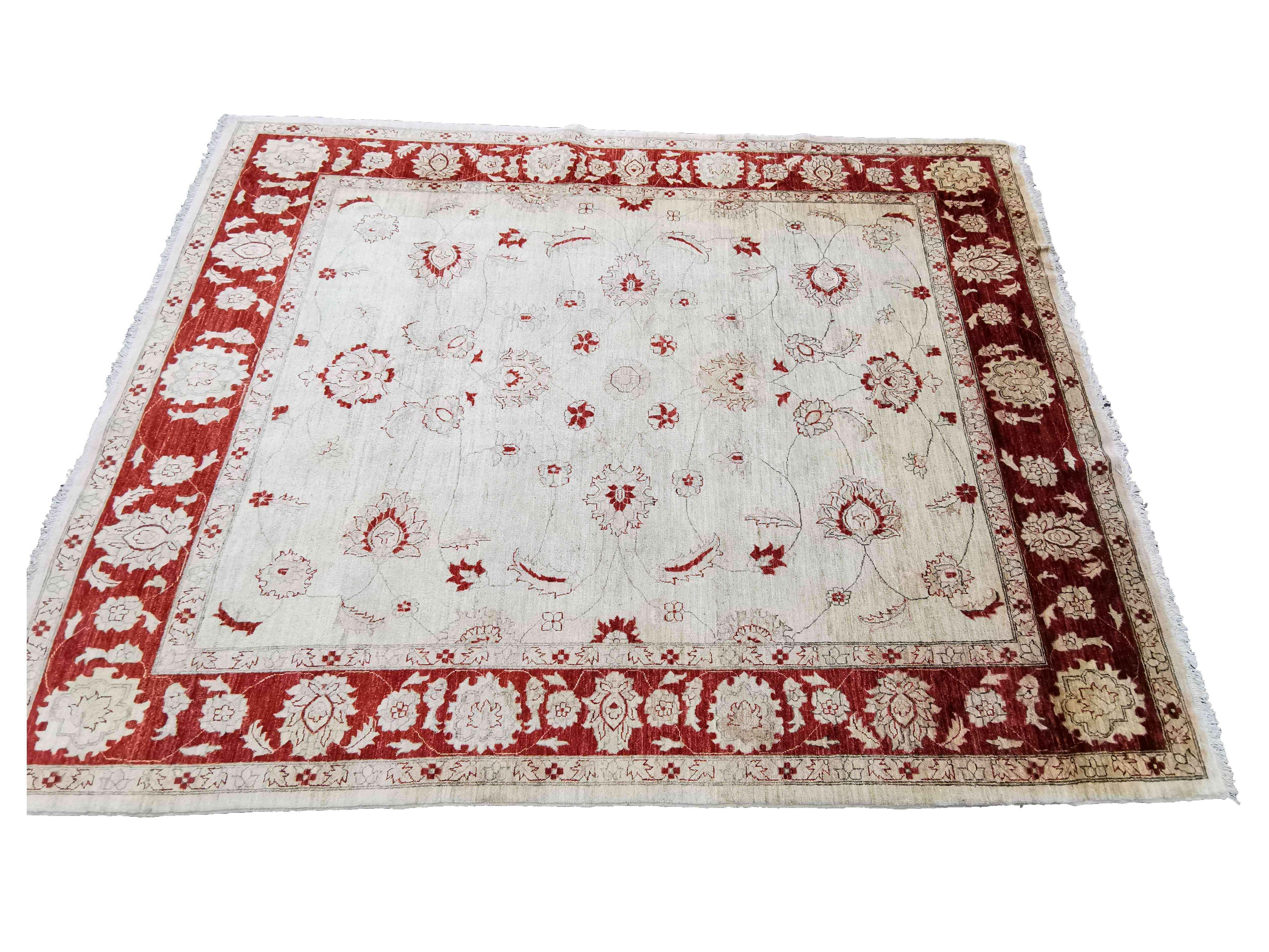 320 x 241 cm Traditional Handmade Traditional White Large Rug - Rugoutlet