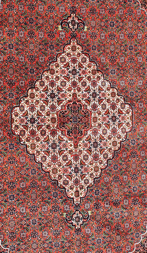330 x 226 cm Fine Persian Bidjar Red Traditional Red Large Rug - Rugoutlet