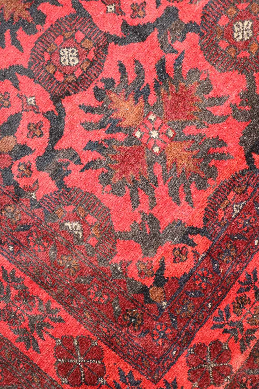 195 x 126 cm Afghan Tribal Wool Rug Hand Knotted Red Colour - Rugoutlet