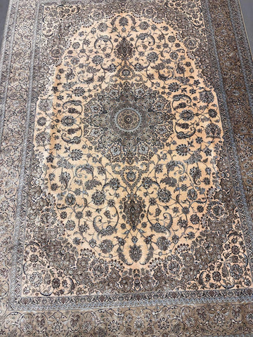 silkpersiannain-center