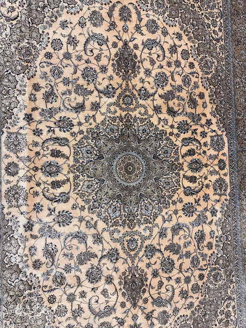 silkpersiannain-middle