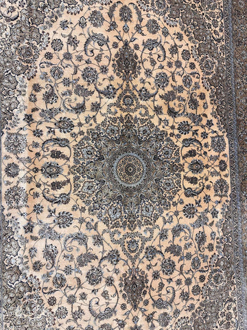 silkpersiannain-middle
