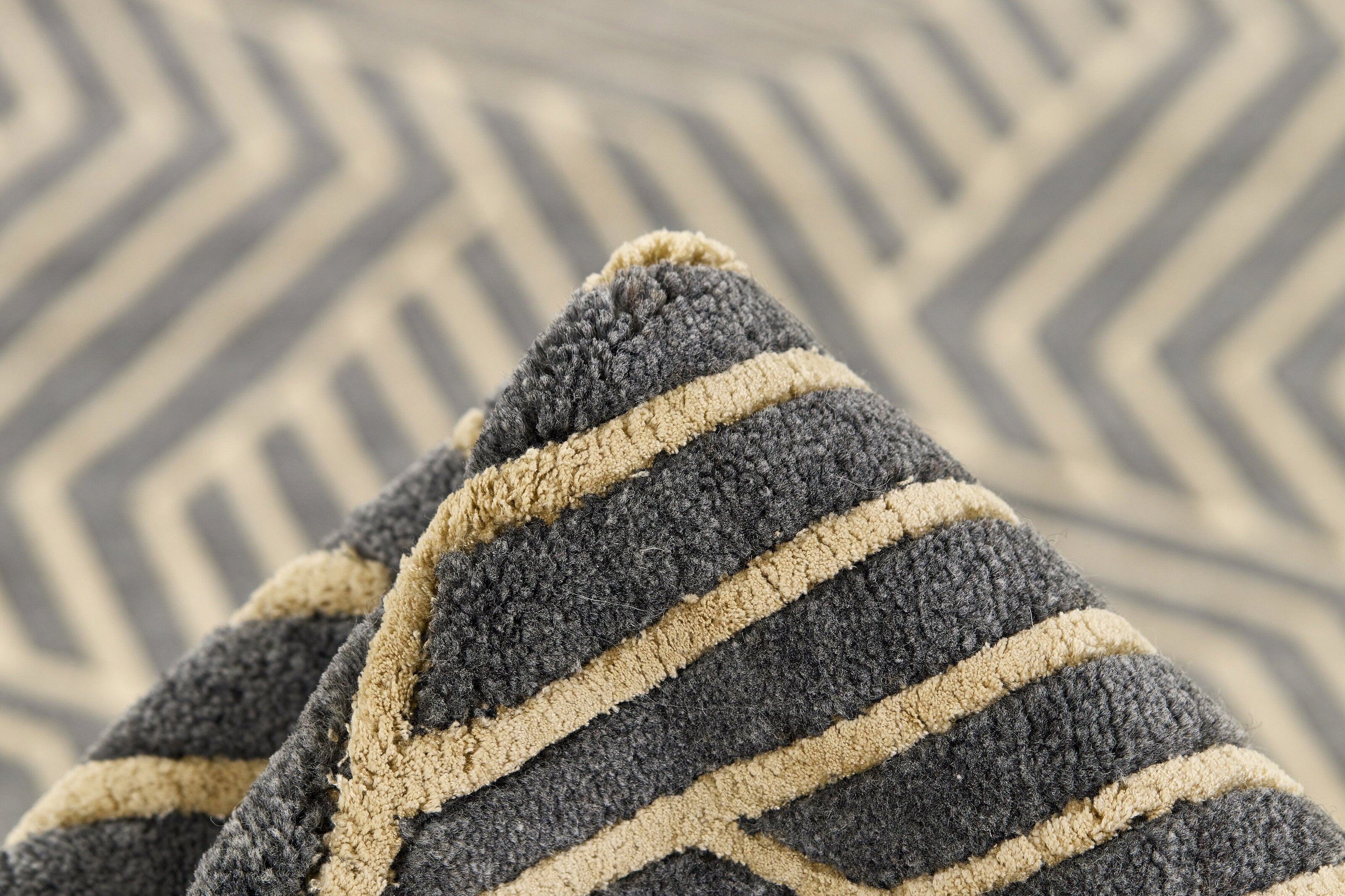 Talia Studio Design Rug