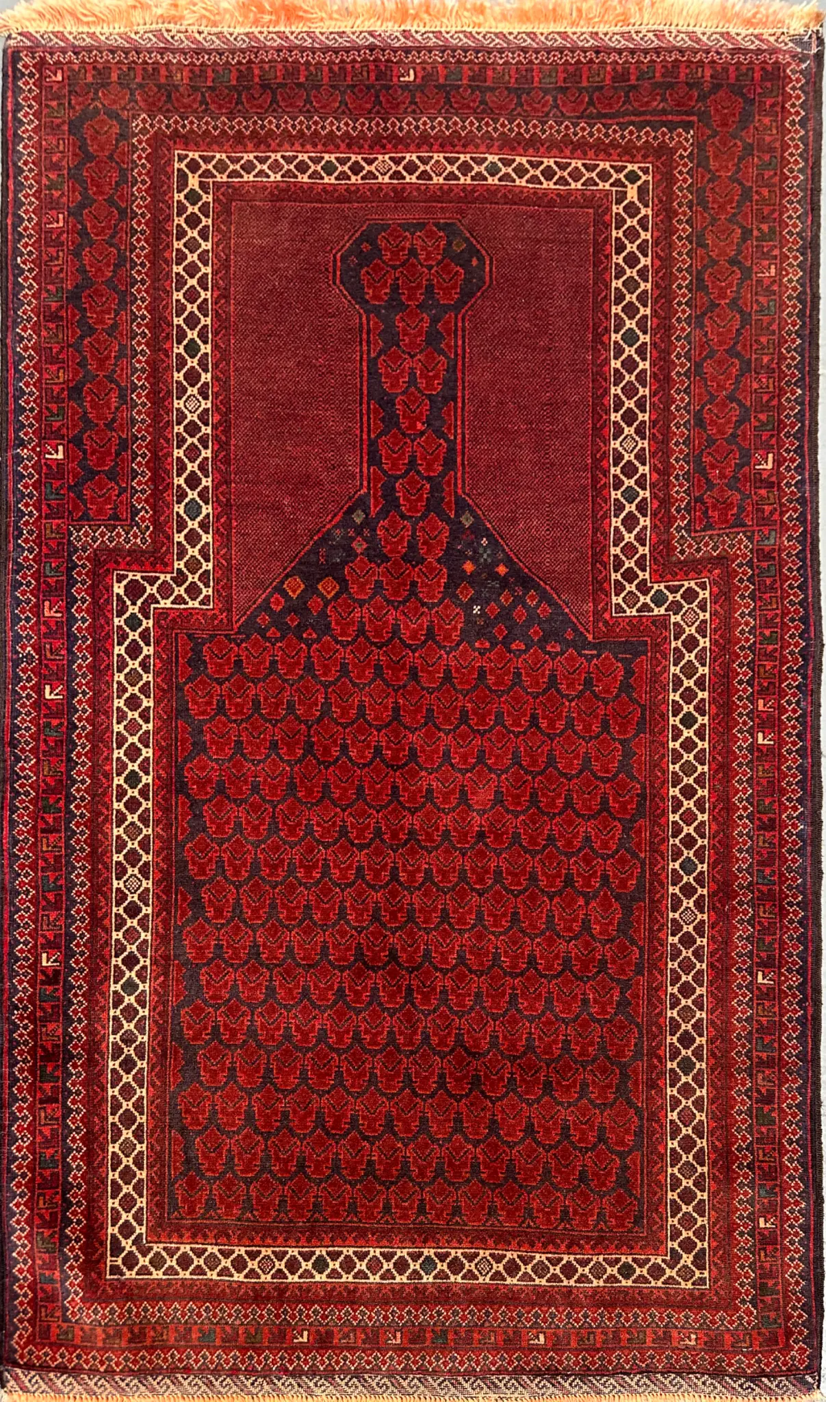 101 x 150 cm Persian Baluch Tribal Hand-Knotted Red Cream Colour Prayer Rug