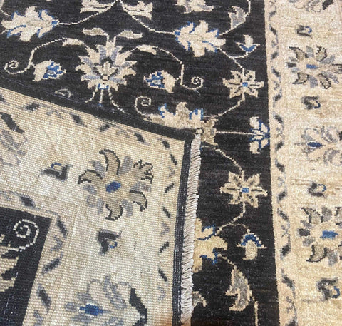 zieglar-black-back