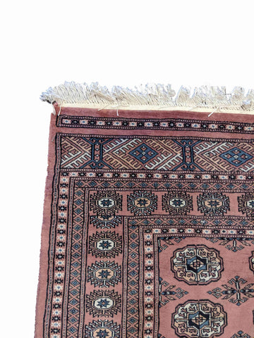 183 x 122 cm New Fine pakistan bukharah Brown Rug - Rugoutlet